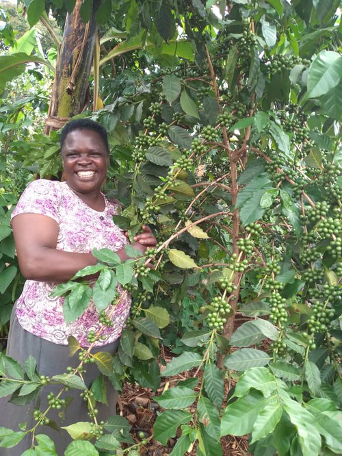 Jenipher_Trees_Jenipher'sCoffi.jpg
