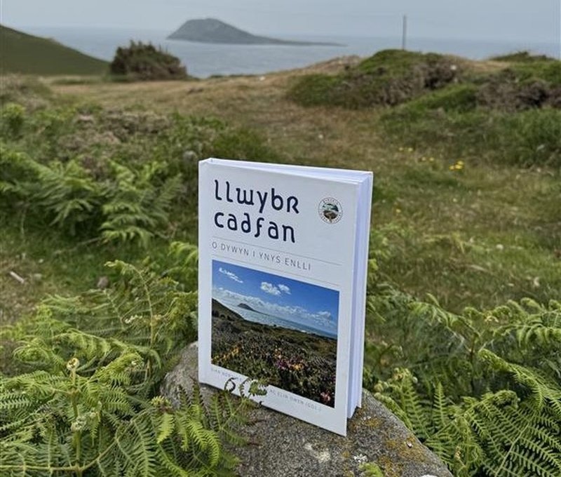 Welsh writers launch book inspired by ancient pilgrimage path.jpg
